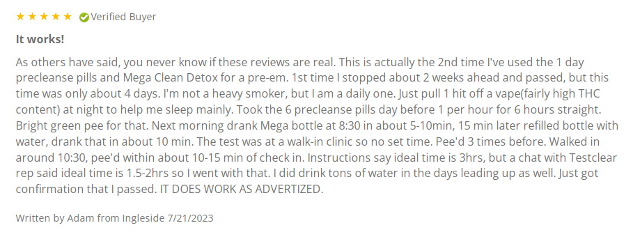 Detoxify Mega Clean Review 1